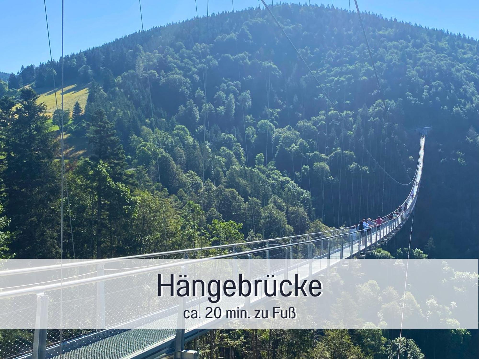 Baechle Im Wanderparadies Balkon Mit Blick Auf Den Bach Sauna Im Haus Tiefgarage E-Ladestation Todtnauberg Ngoại thất bức ảnh